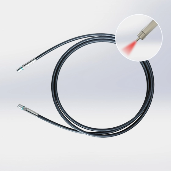 Sheathed  Fiber