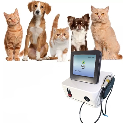 Veterinary