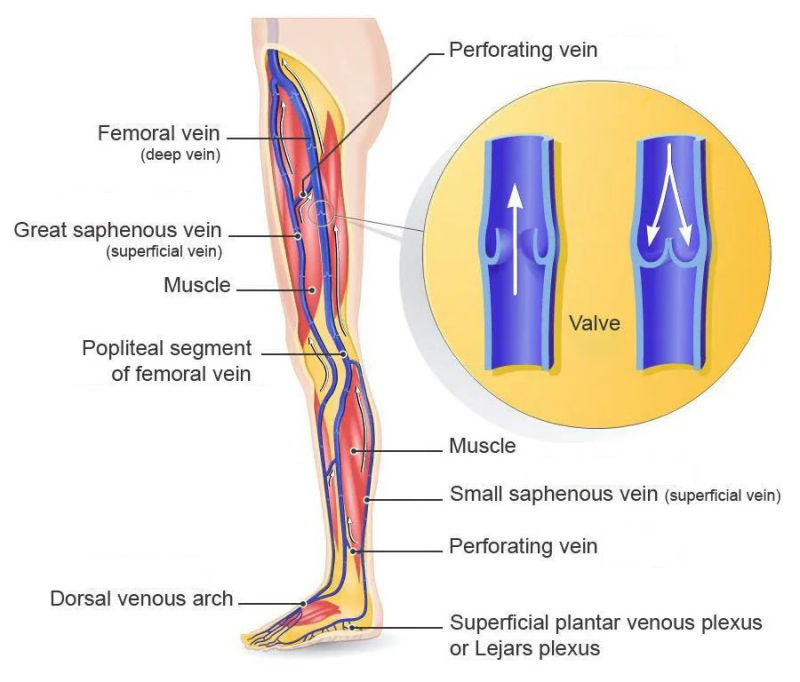 微信图片_20210929084304